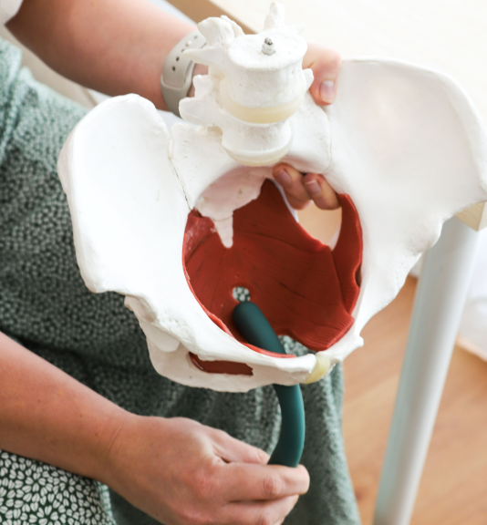 Understanding vulval and vaginal atrophy in menopause